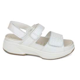 Xsensible 27 - € 200