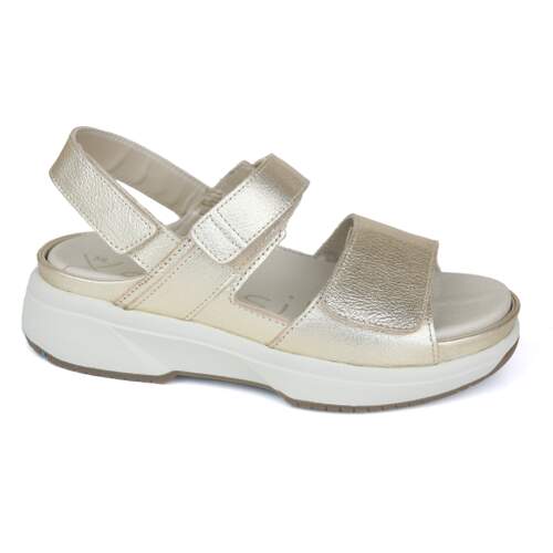 Xsensible 28 - € 200