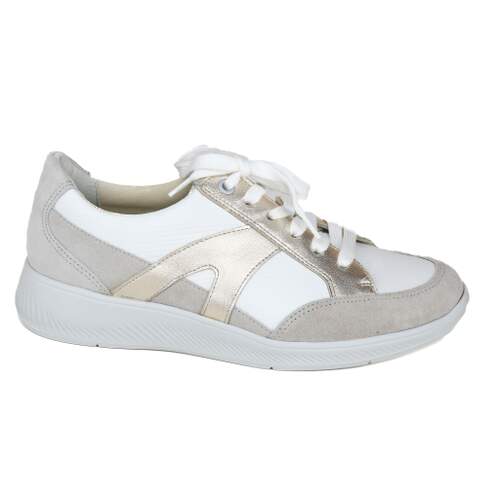 Solidus 40 - € 210