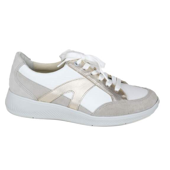 Solidus 40 - € 210
