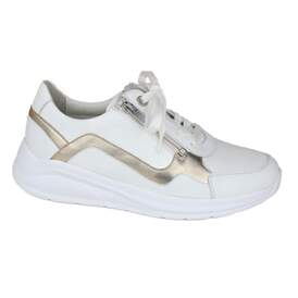 Solidus 41 - € 200
