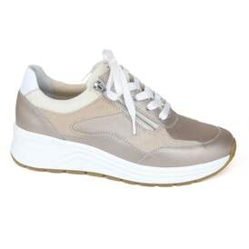 Solidus 42 - € 225
