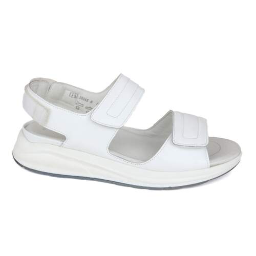 Solidus 45 - € 140