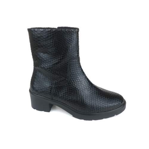 Solidus 42 - € 210